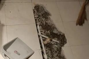 靖西卫生间漏水检测电话